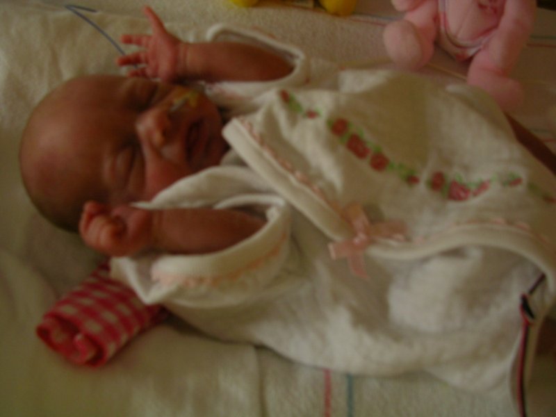 maggie8-16 (5)